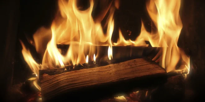 Brennwert Holz