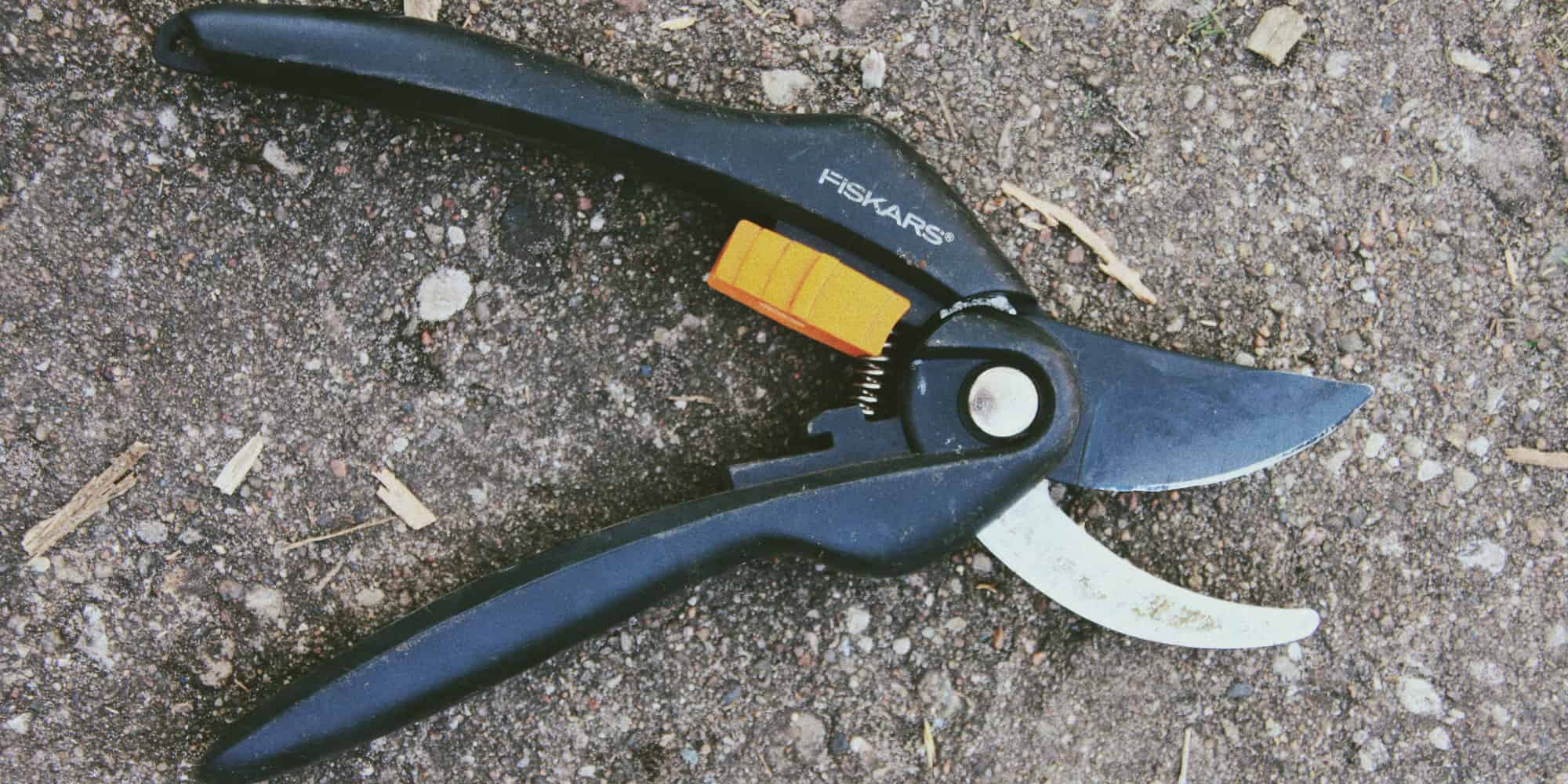 30+ Geschenkideen für Gartenbesitzer*innen Heimmeister