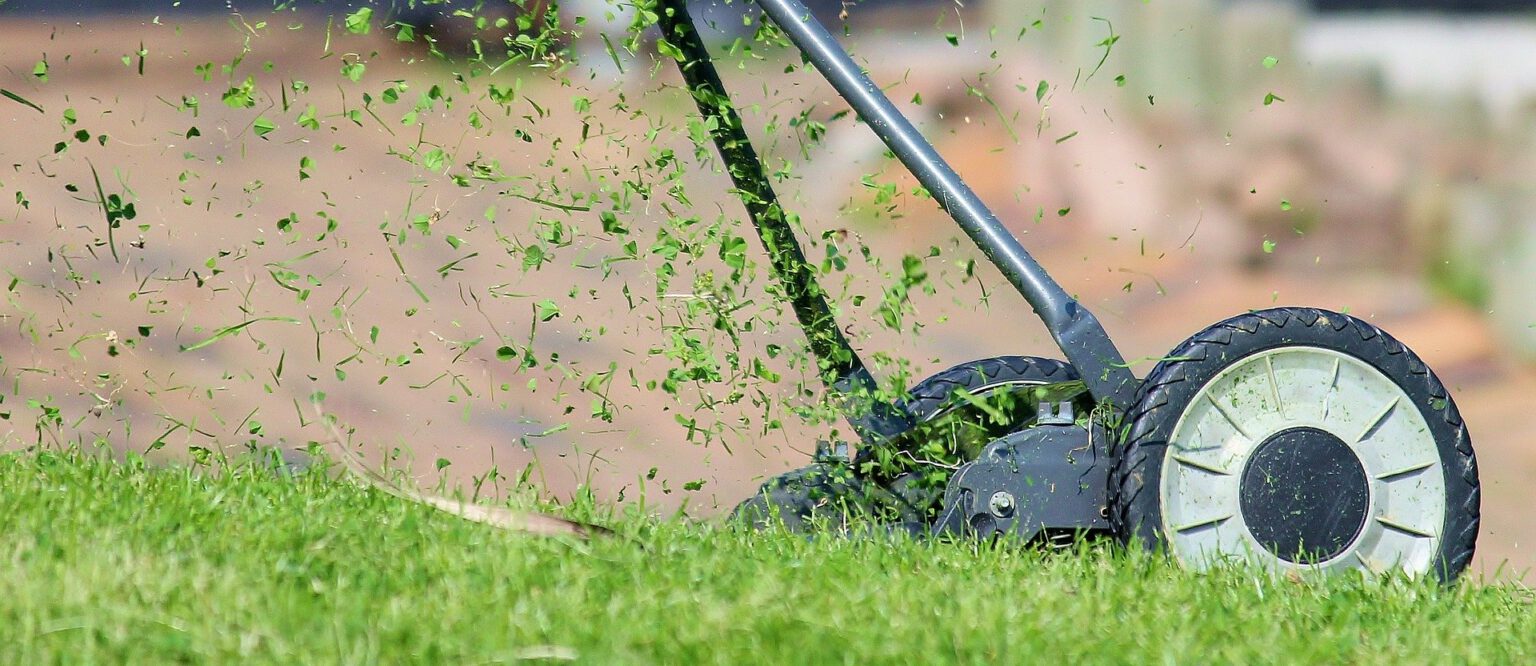 Übersicht Rasenmäher Arten und nützliche Tipps zum Kauf Heimmeister