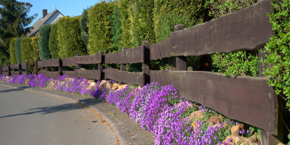 Zaun oder Hecke? Heimmeister