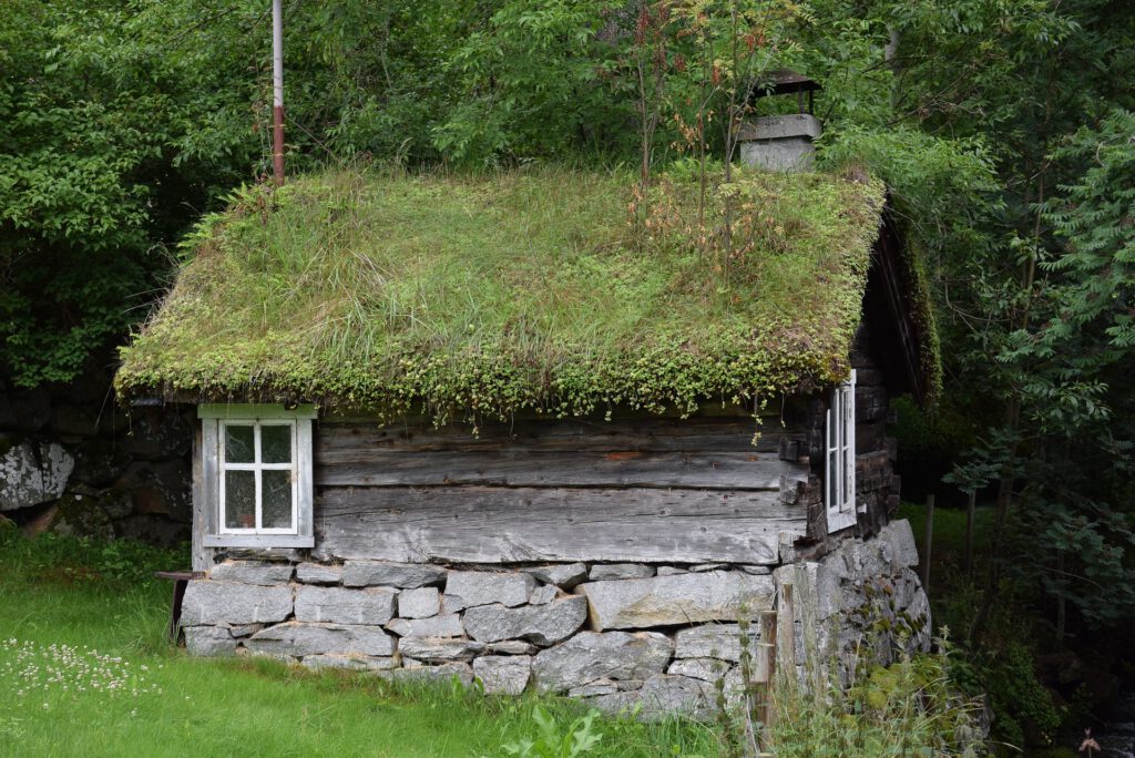 Bretterhaus auf Steinsockel mit Grasdach