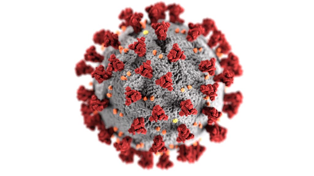 Coronavirus grau rot