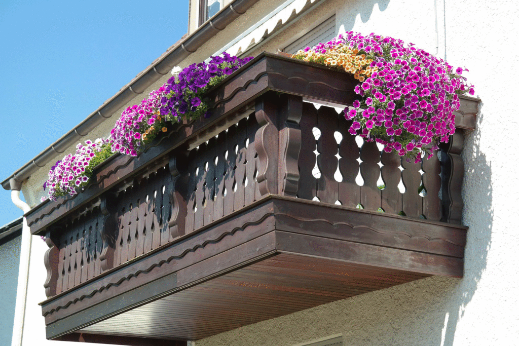 Petunien Balkon